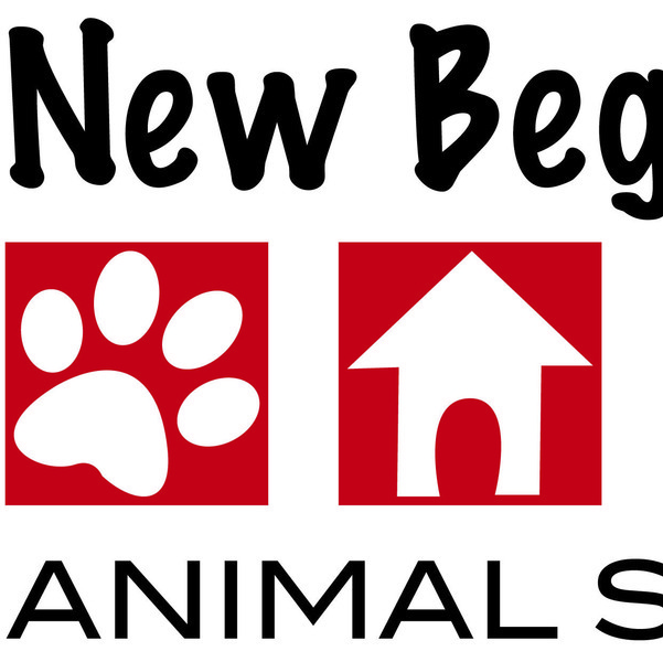 Fundraising Coordinator New Beginnings Animal Shelter Givegab